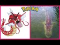 Pokemon IN REAL LIFE All Characters WANAPlus