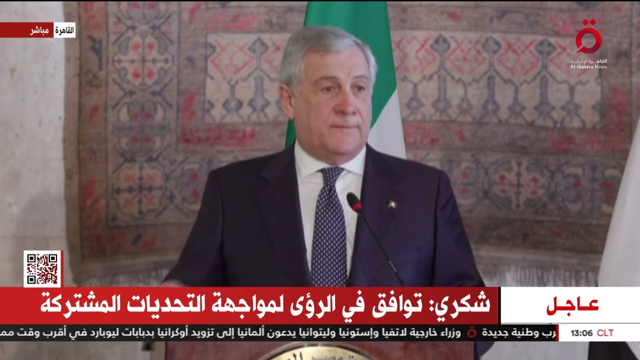 وزير الخارجية الإيطالي يبدى استعداد بلاده لتنظيم ملتقى لرجال الأعمال المصريين 