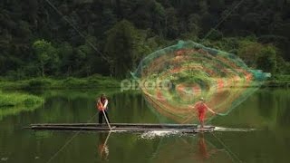 Download lagu Video Serunya Ngecrik/Menjala Ikan Mujair Di Situ Gede Tasikmalaya Dapat Ikan Banyak mp3
