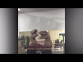 Dinosaur Train