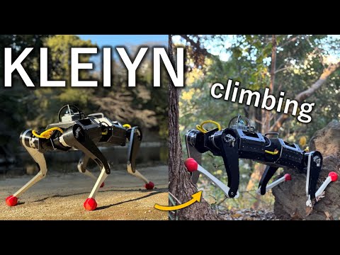 KLEIYN : A Quadruped Robot with an Active Waist for Both Locomotion and Wall Climbing