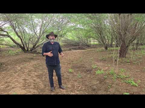 Fazenda á venda em Juazeirinho-PB, medindo 120 hectares, Valor R$ 499.000,00.
