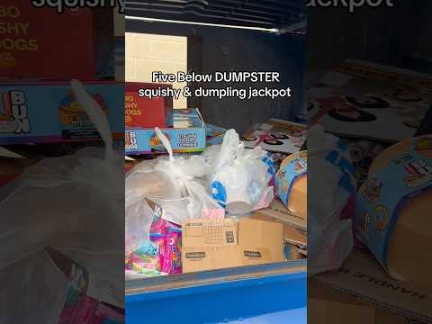 Let’s see what’s inside this dumpster today.. #fivebelow #dumpsterdiving #dumplings #squishy