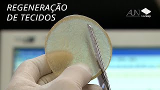 Miniatura do vídeo