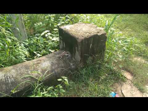 Lap of Nature # Love kush vatika Alwar 2