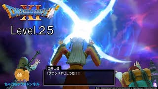 ムービーで見る【ドラクエ11】「ドゥルダの試練」レベル25　実況なし「Dragon Quest Ⅺ」Level25