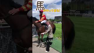 【ドイツ生活🇩🇪】ドイツの競馬場へ行ってきた🐴#shorts