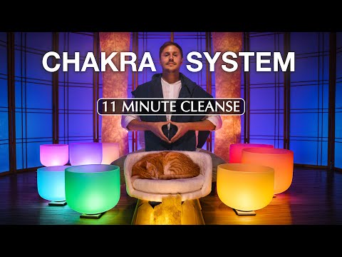QUICK  **Full Nervous System**  Chakra Alignment  (11 minute cleanse)