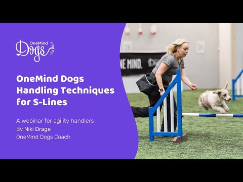 FREE Webinar: OneMind Dogs Agility Handling Techniques for S-Lines