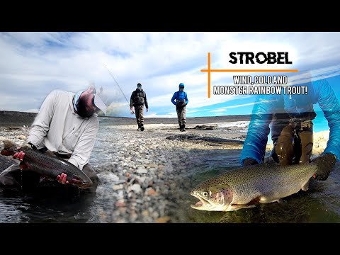 Strobel Lake - Barrancoso river - Estancia Laguna Verde 2016