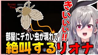 配信をしている部屋の中で大きな虫を見つけて絶叫する響咲リオナ  [ホロライブ/hololiveDEV_IS/FLOWGLOW/切り抜き]