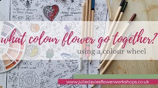 What colour flowers go together? | colour wheel | flower arranging