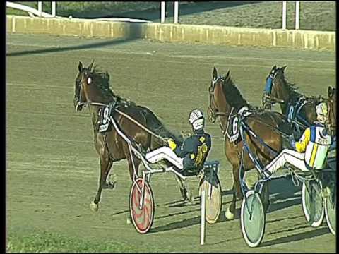 Trotto 19/02/2017 - 5ª corsa