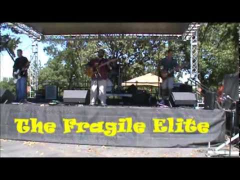 The Fragile Elite - 