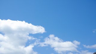【Rap】編む/シン
