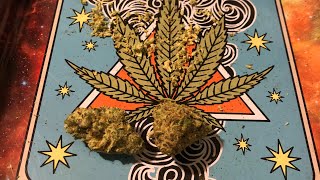 Trulieve Cherry Punch 🤛 Flower Review : Happy Danksgiving 🦃 Florida Medical Marijuana Review