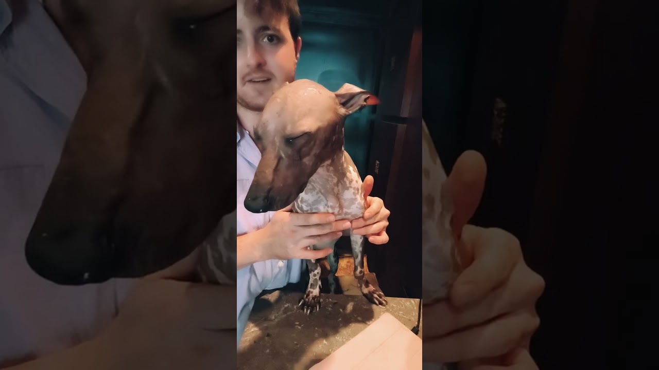 Café con Xolos Ramírez: Tzome Ramírez e Historia Viva