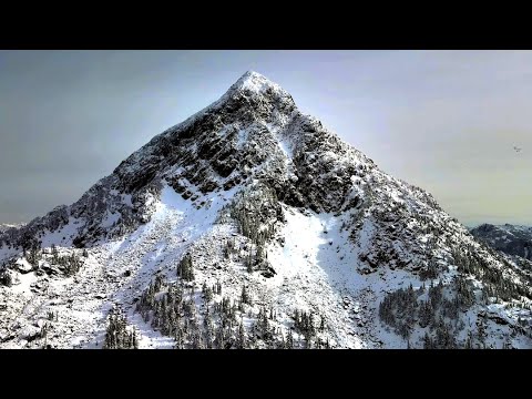 Zaflon | Isolation Soundtrack [feat. Olga Artamonova]