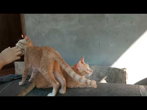 mother and daugher bonding 😁