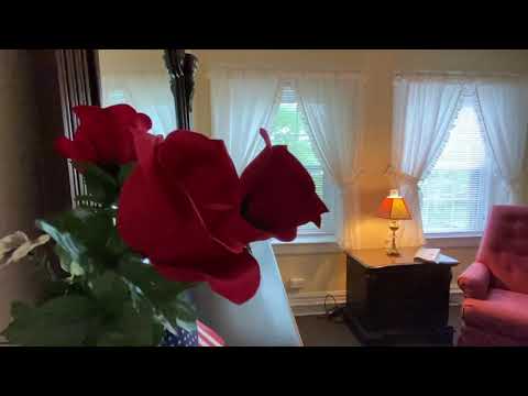 Video 1
