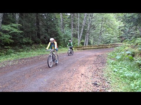 Mount Rainier Experience: Biking the Westside Road with Audio Description