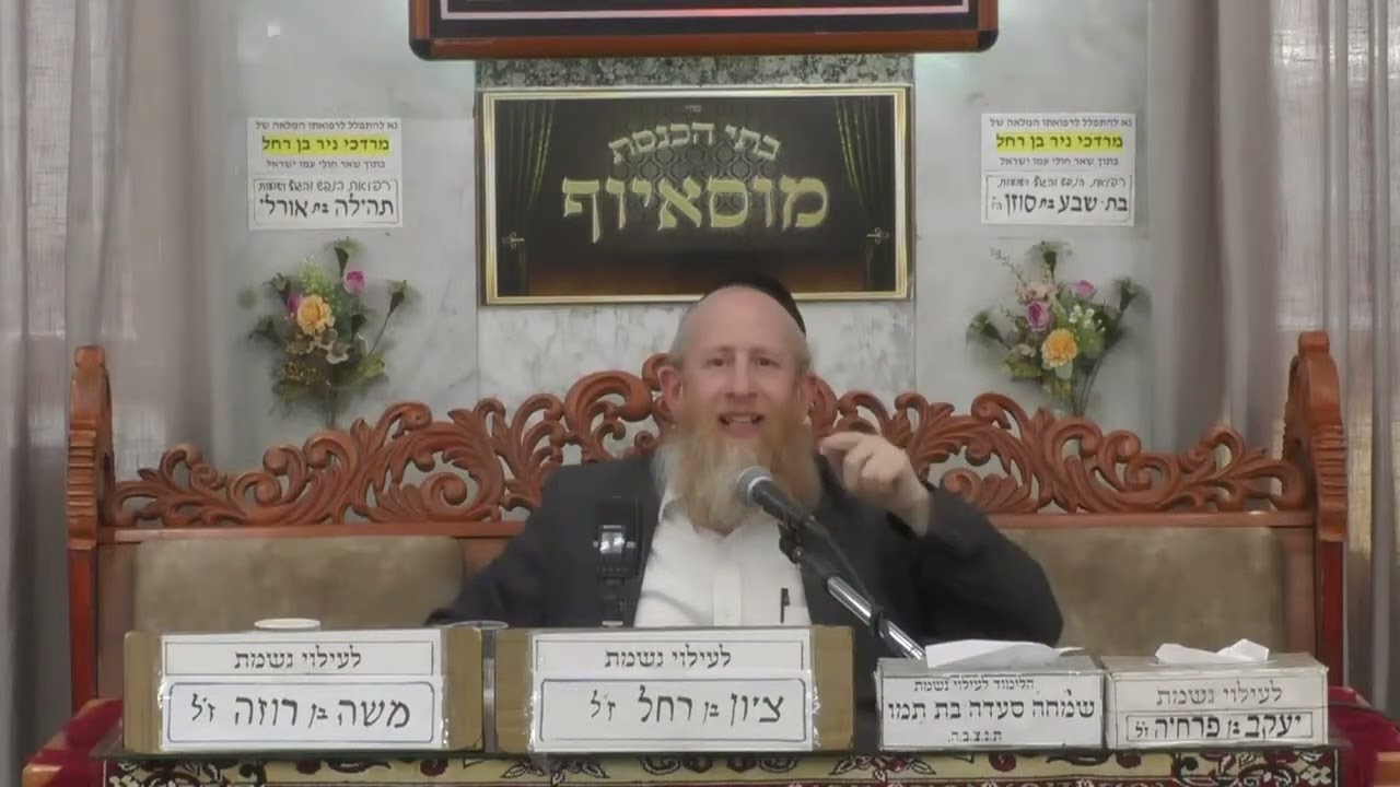 בחירה חופשית או גזירה? שיעור עומק על חטא המרגלים