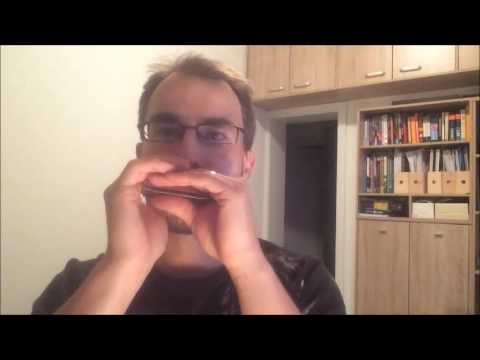 Juraj Schweigert - Mr P.C (diatonic harmonica)