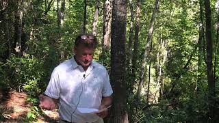 Lake Keowee Real Estate Expert Video Update October 2026 Mike Matt Roach Top Guns Realty