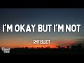 Rhy Elliot - I'm Okay But I'm Not (Lyrics)