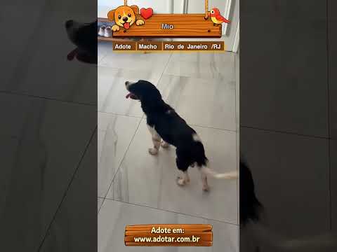 Vídeo de Mio