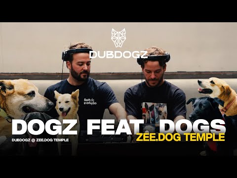 Dubdogz - Dogz feat. Dogs (Zee.Dog Temple, SP) @ Festa de Adoção