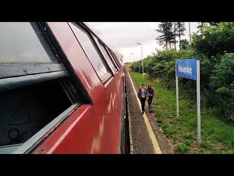 TUR 2022. Pociąg Regio Hel - Chojnice wjeżdża na przystanek osobowy Piesienice. I odjeżdża :)