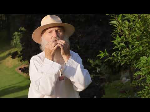 Brod a w sieci LISTEK Jak grać?