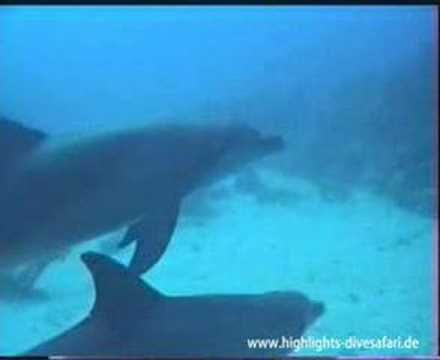 Südtour von Marsa Alam