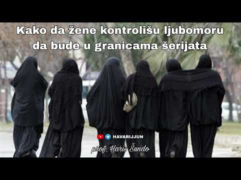 KAKO DA ŽENE KONTROLIŠU LJUBOMORU DA BUDE U GRANICAMA ŠERIJATA - prof. Haris Šundo