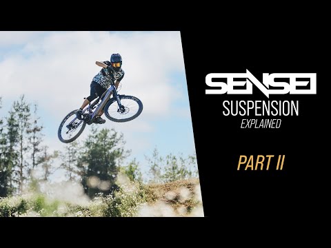 Voima Sensei Suspension Explained - Part 2