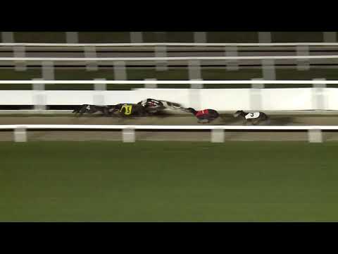 2020.08.21. 05. futam - Kincsem Park Magyar Derby Döntő