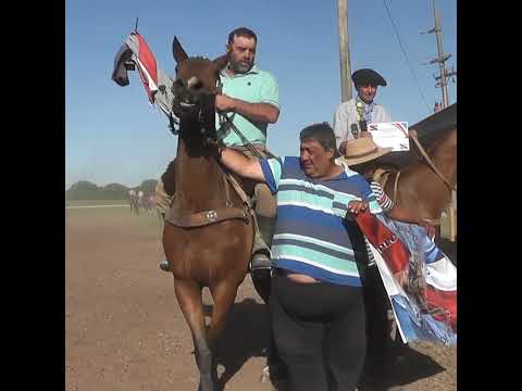 Verso CAMPERO del PATRON en Oro Verde Entre Rios