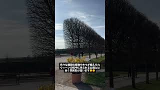 ヒルシュシュテッテン花壇庭園(Blumengärten Hirschstetten der Stadt Wien)