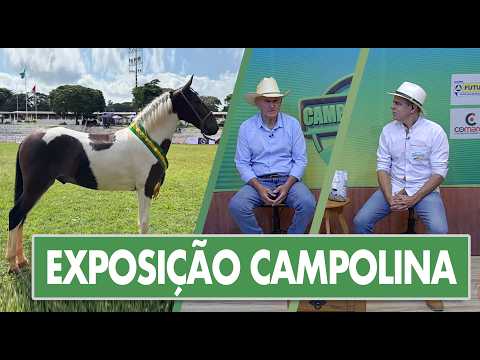 Especial Cavalo Campolina em Pará de Minas: Muita Prosa e Resenha!