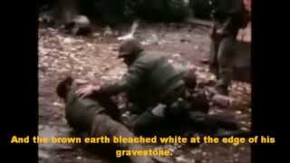 The Grave by Don McLean (VIETNAM WAR)