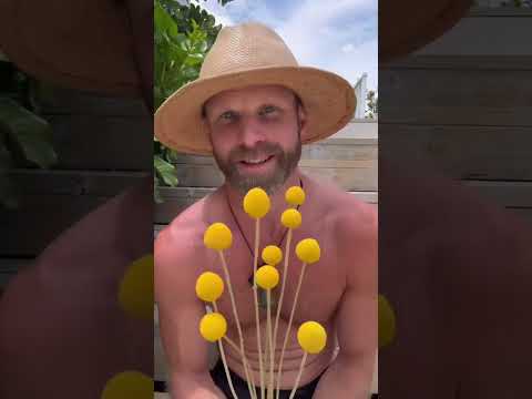 Say hello to Billy Buttons #shorts