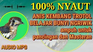 Download lagu ANIS KEMBANG TROTOL BELAJAR BUNYI NGRIWIK MP3 DOWNLOAD mp3