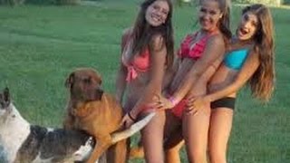 Ютуб приколы видео смеяться