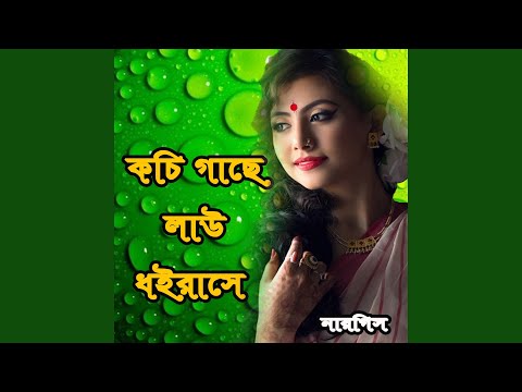 Amar kochi Gache Lau Dhoirase