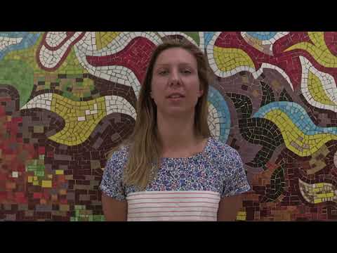 Zukunftschancen des Lausitzer Seenlandes