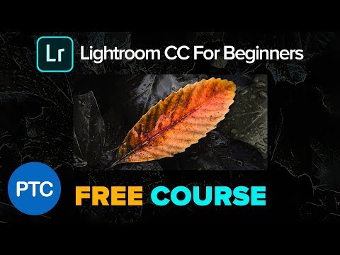 adobe lightroom cc for beginners by photoshop training channel