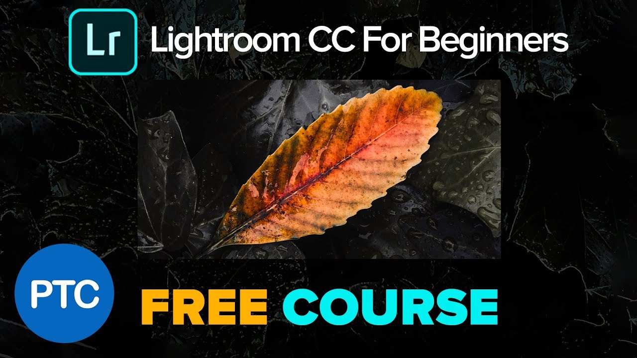 Adobe lightroom cc for beginners by photoshop training channel