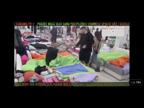 zadruga - Car i Dalila /Nova svadja i pljuvanje 🙈