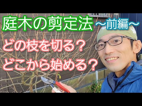 6月に庭で何を剪定しますか？やり方は？完全なガイドをご覧ください。  庭園